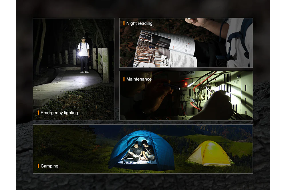 Thumbnail 12